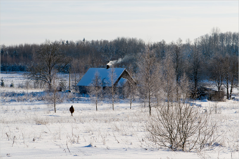 20100109-11