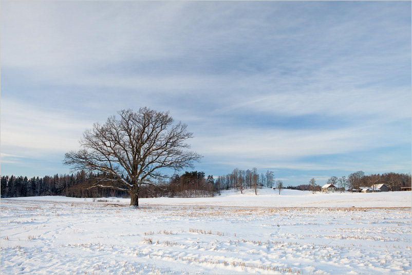 20130127-02