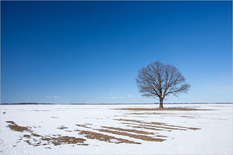 20130317-06