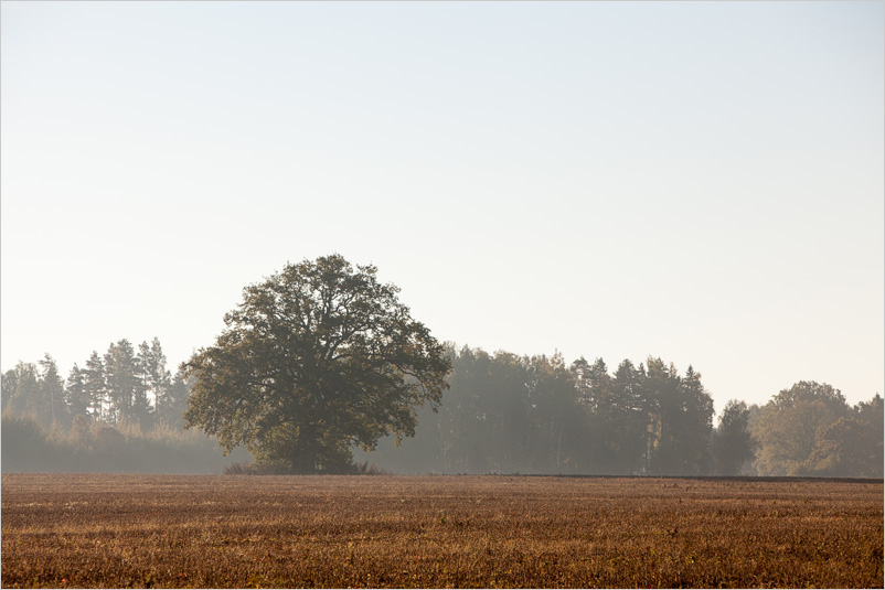 20131005-02