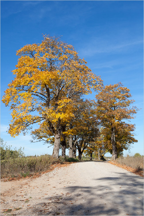 20131005-09