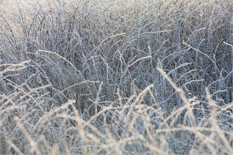20131130-07