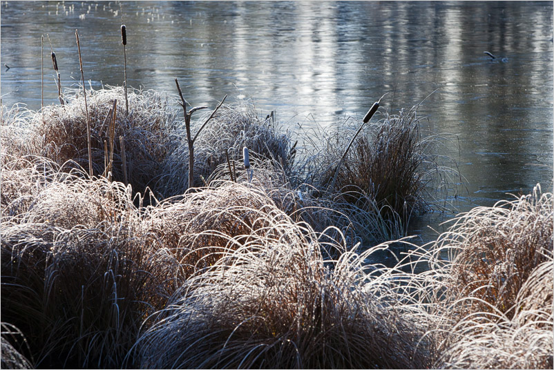 20131130-21