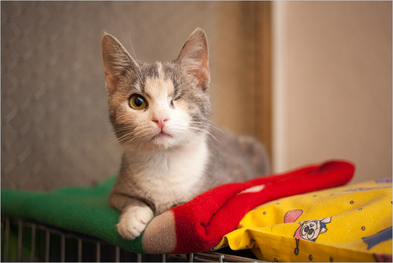 20140118-12