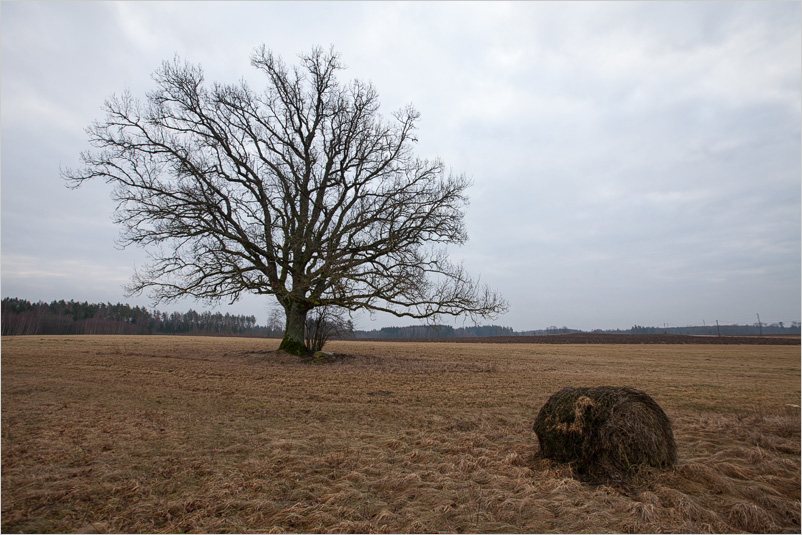 20140223-08