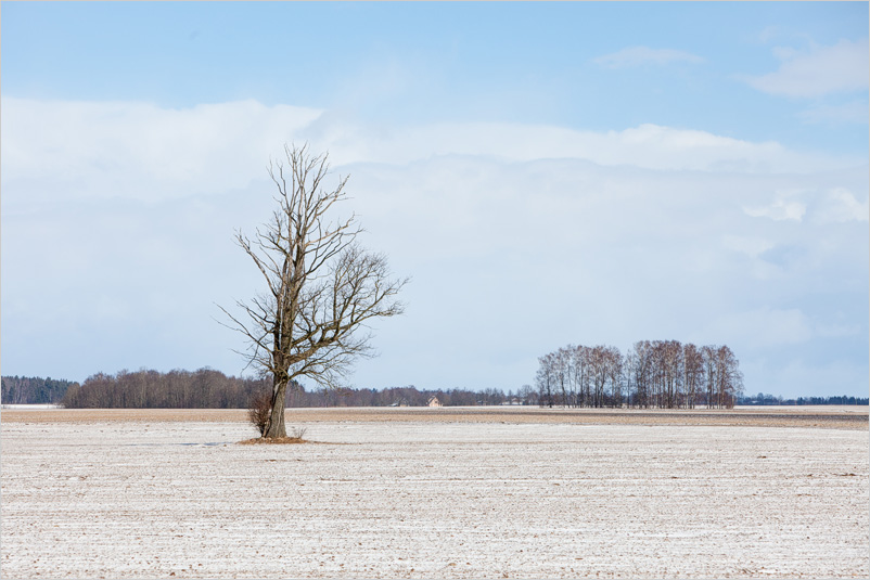 20140316-02