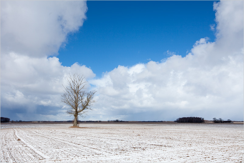 20140316-05