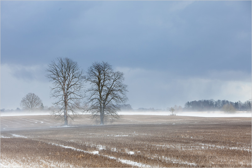 20140316-09