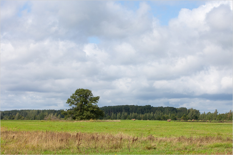 20140817-01