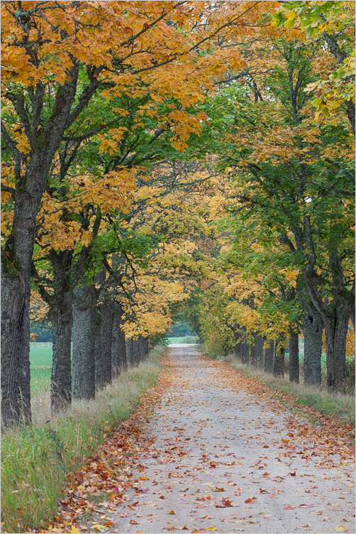 20141005-07