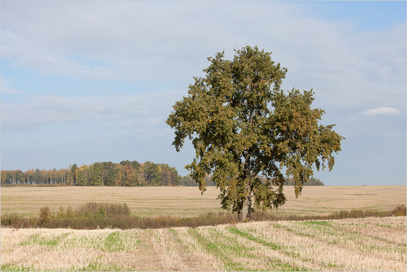 20141005-22