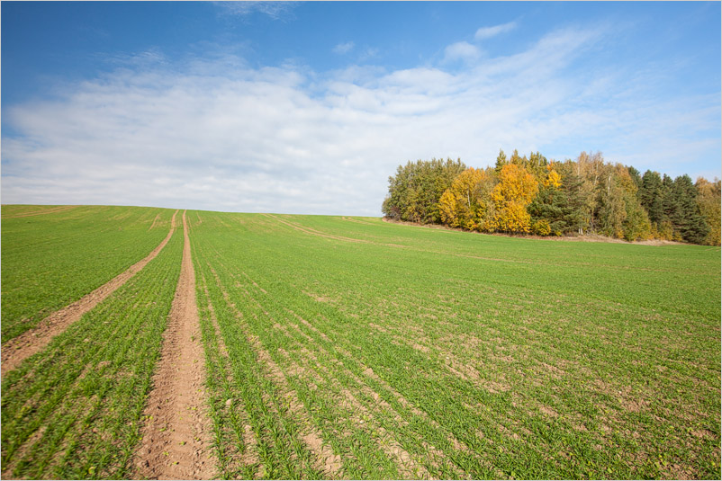 20141005-28