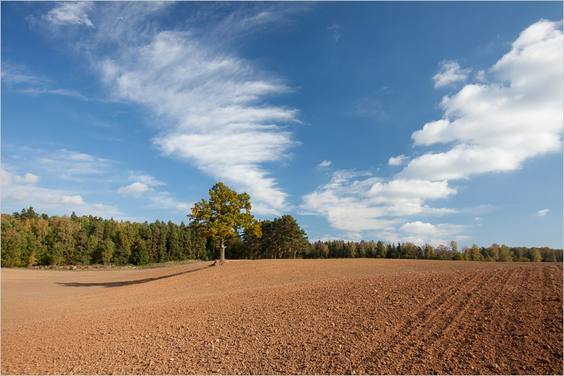 20141005-37