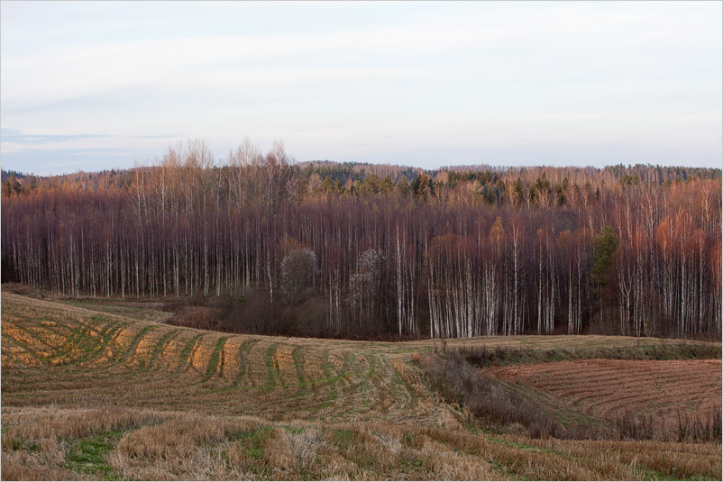 20141025-30