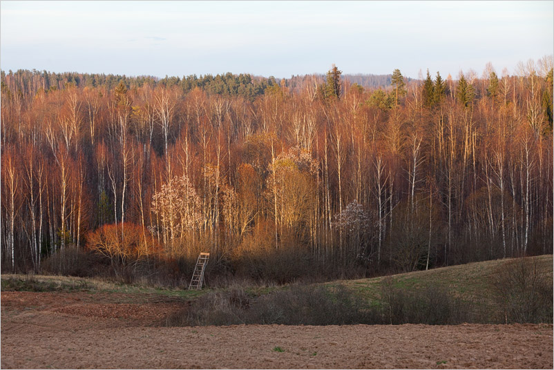 20141025-33