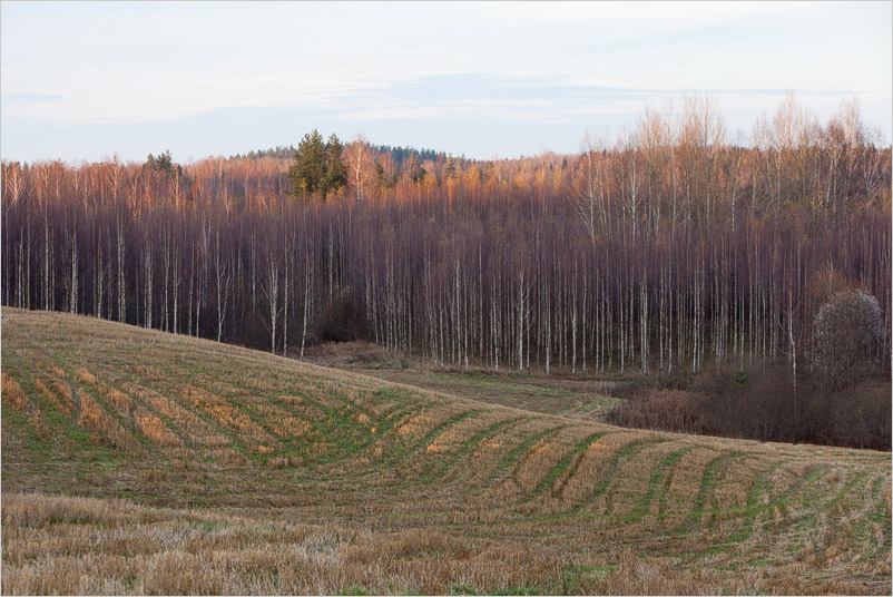20141025-35