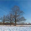 20141226-01