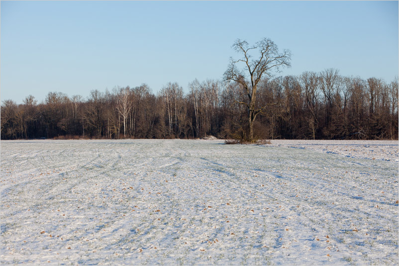 20141226-06
