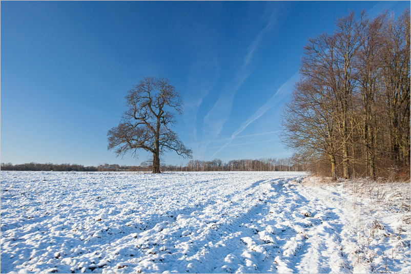 20141226-09