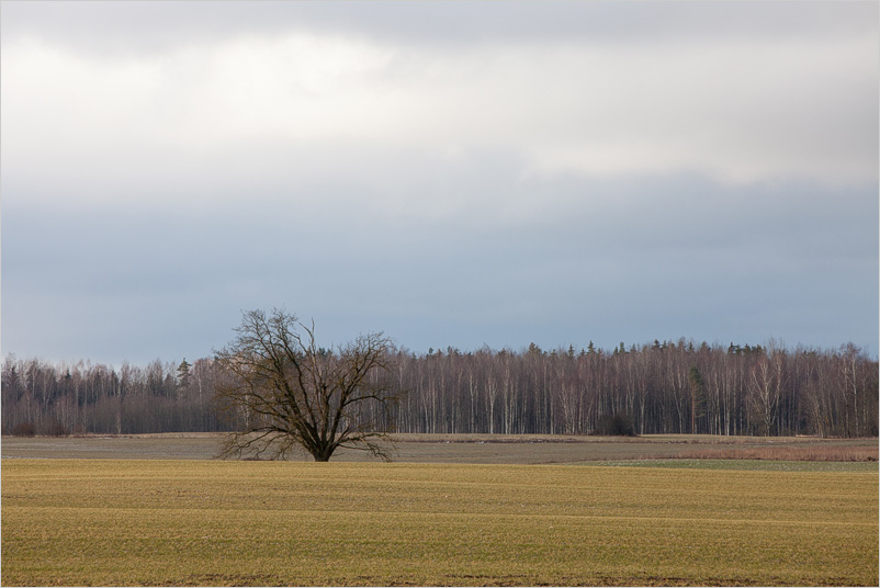 20150215-12