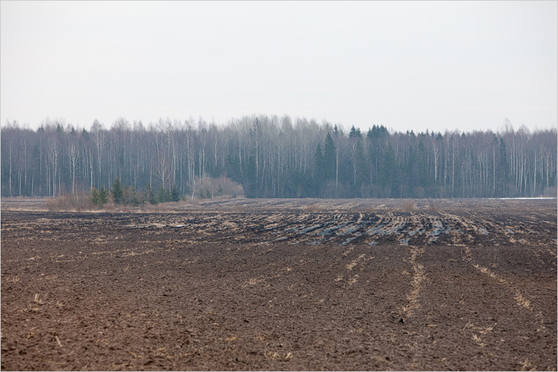 20150308-01