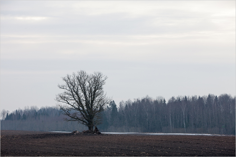 20150308-05