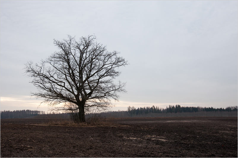 20150308-06
