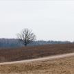 20150308-09