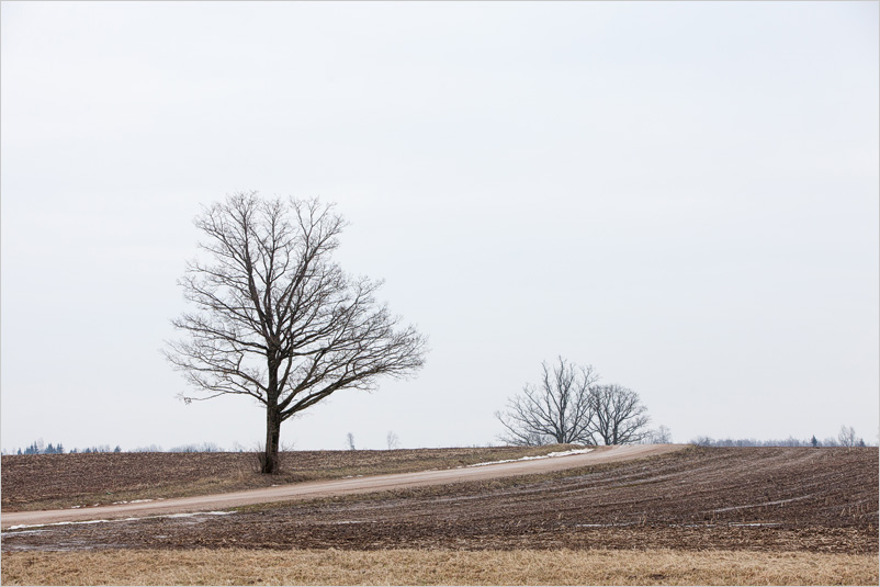 20150308-10