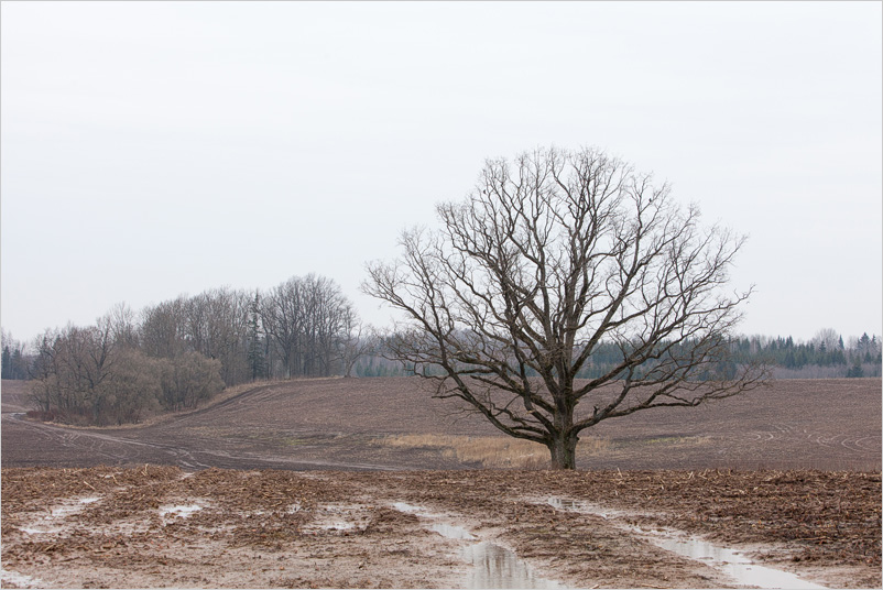 20150308-12