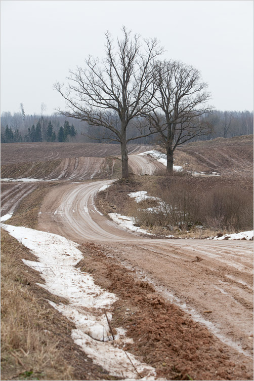 20150308-13