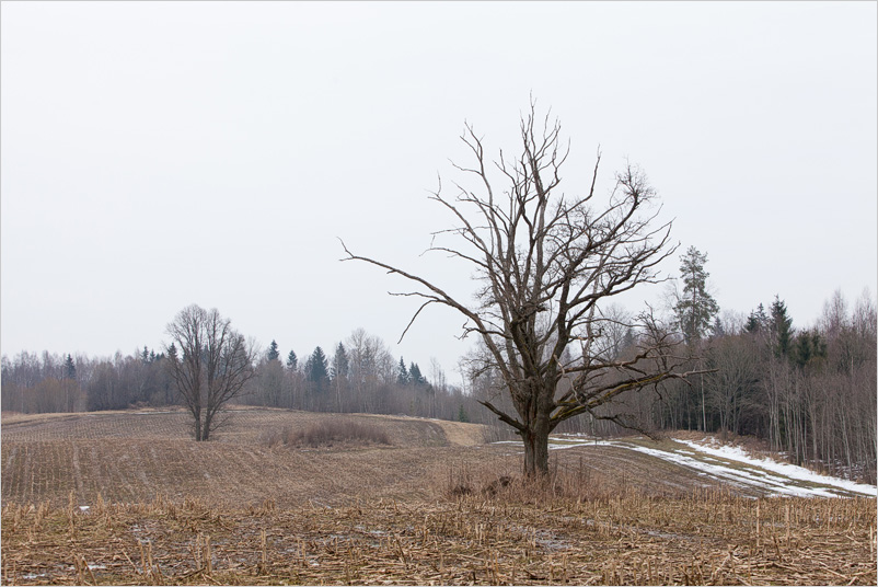 20150308-15