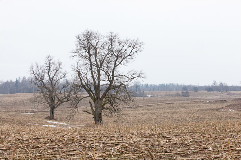 20150308-16