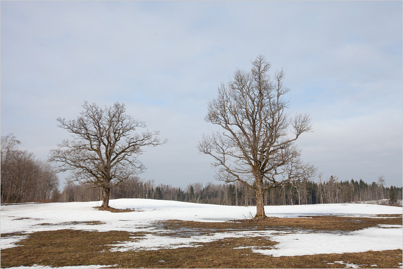 20150308-19