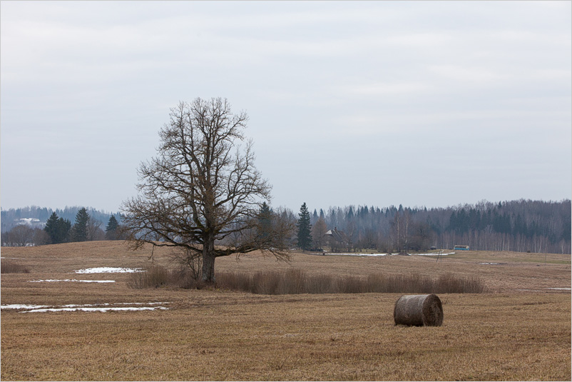 20150308-26