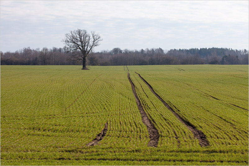 20150406-12