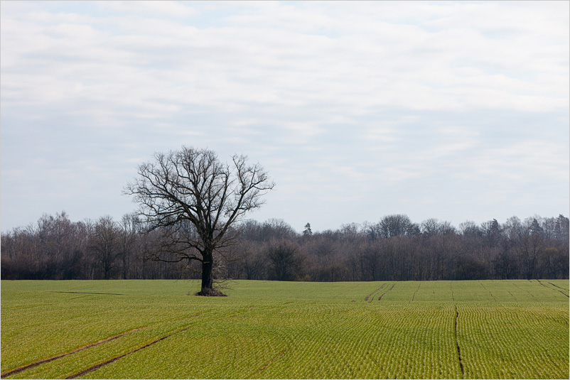20150406-13