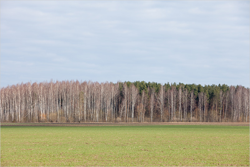 20150406-19