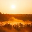 20150523-12