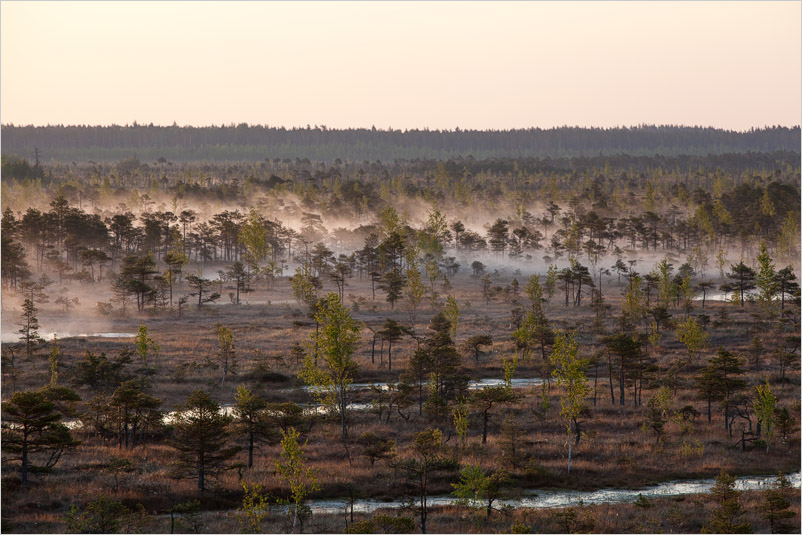 20150523-15