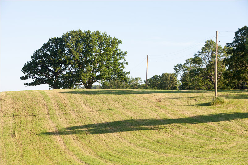 20150704-13