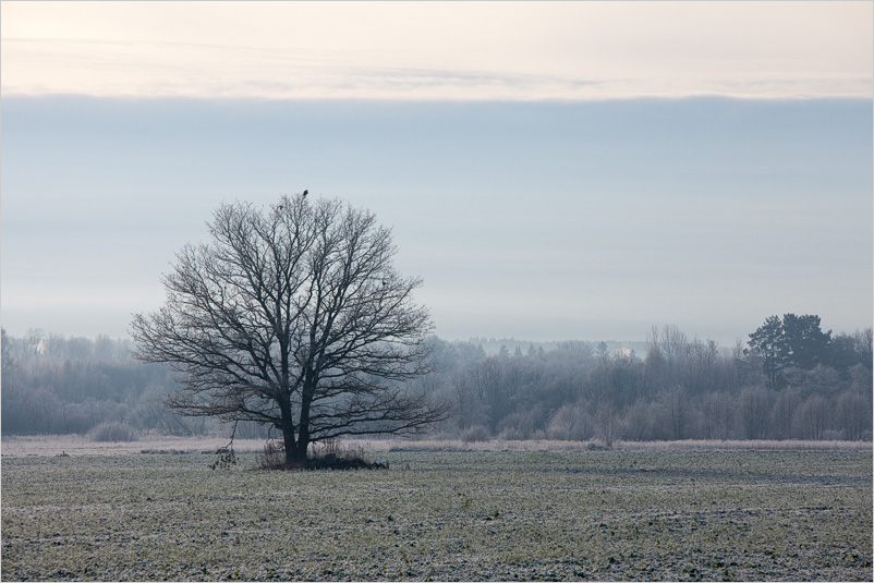 20151122-33
