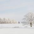 20160117-08