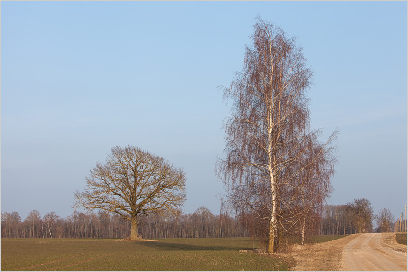 20160327-01