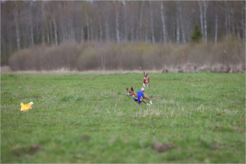 20160501-07