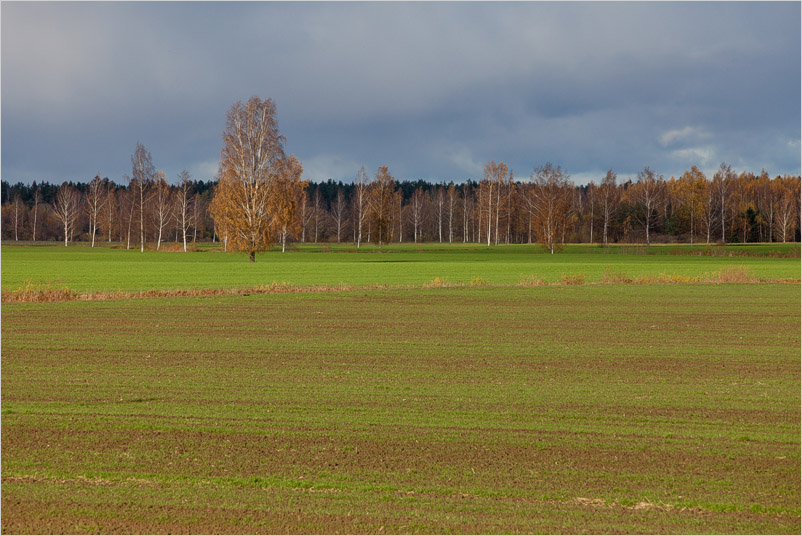 20161029-16