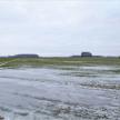 20180204-67