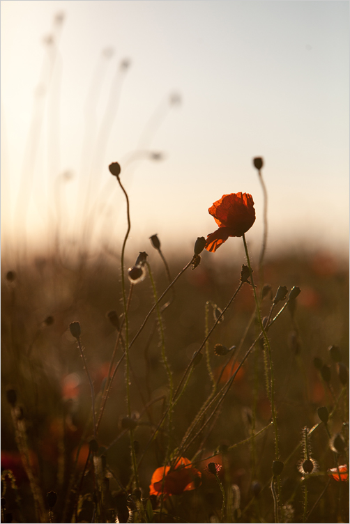 20180626-08