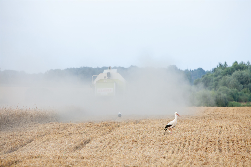 20180729-vs-05