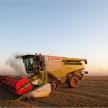 20180801-fito-34